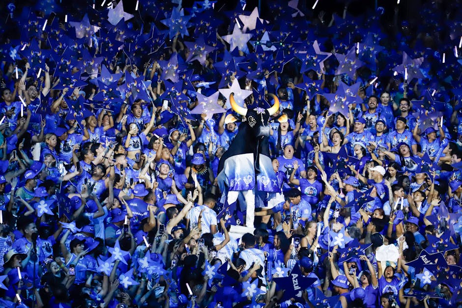 Tomorrowland Festival Explained: Inside the World’s Biggest EDM Event - What You Should Know Before Attending Tomorrowland